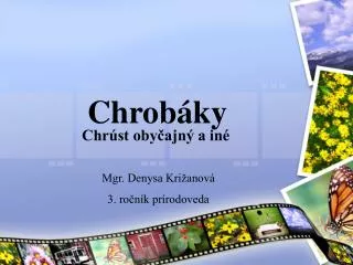 chrob ky