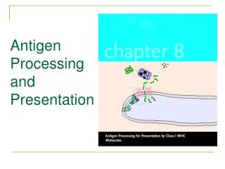 Antigen Processing and Presentation