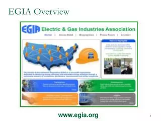 EGIA Overview