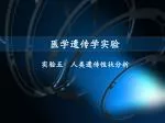 医学遗传学实验 - slide 1