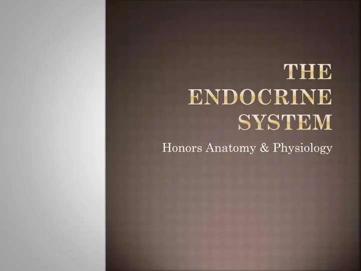 the endocrine system