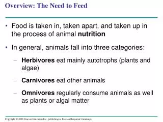 Overview: The Need to Feed
