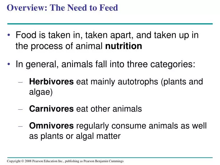 overview the need to feed