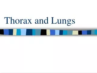 Thorax and Lungs