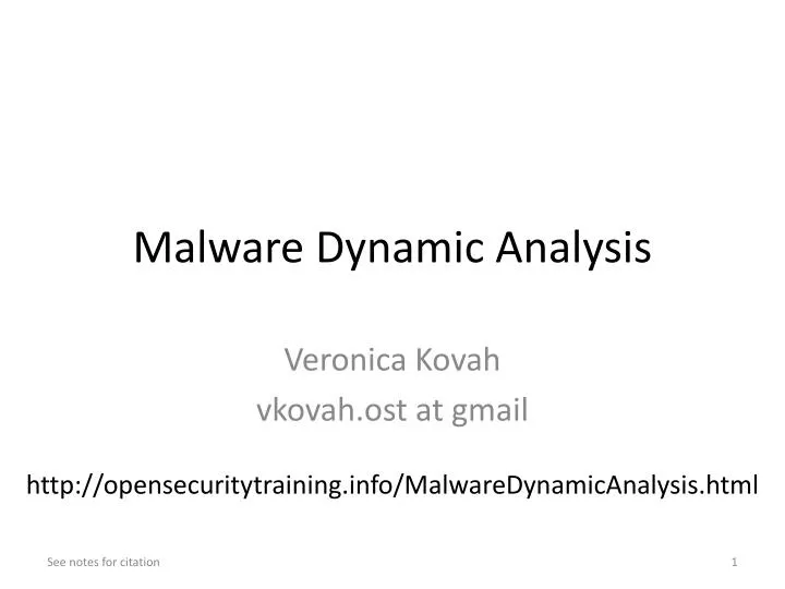 malware dynamic analysis