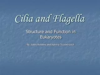 Cilia and Flagella