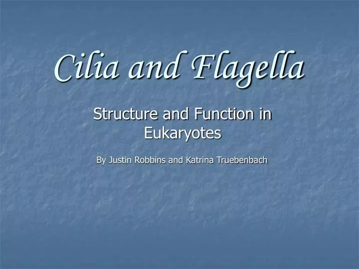 cilia and flagella