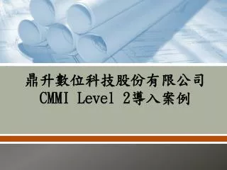 cmmi level 2