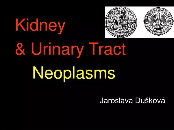 kidney urinary tract neoplasms