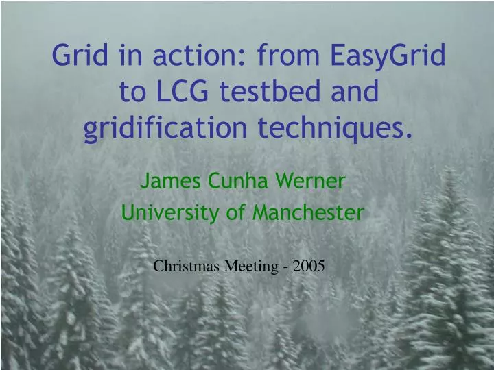 grid in action from easygrid to lcg testbed and gridification techniques