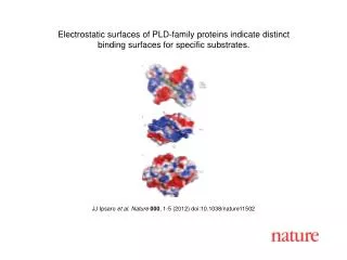 JJ Ipsaro et al. Nature 000 , 1-5 (2012) doi:10.1038/nature11502