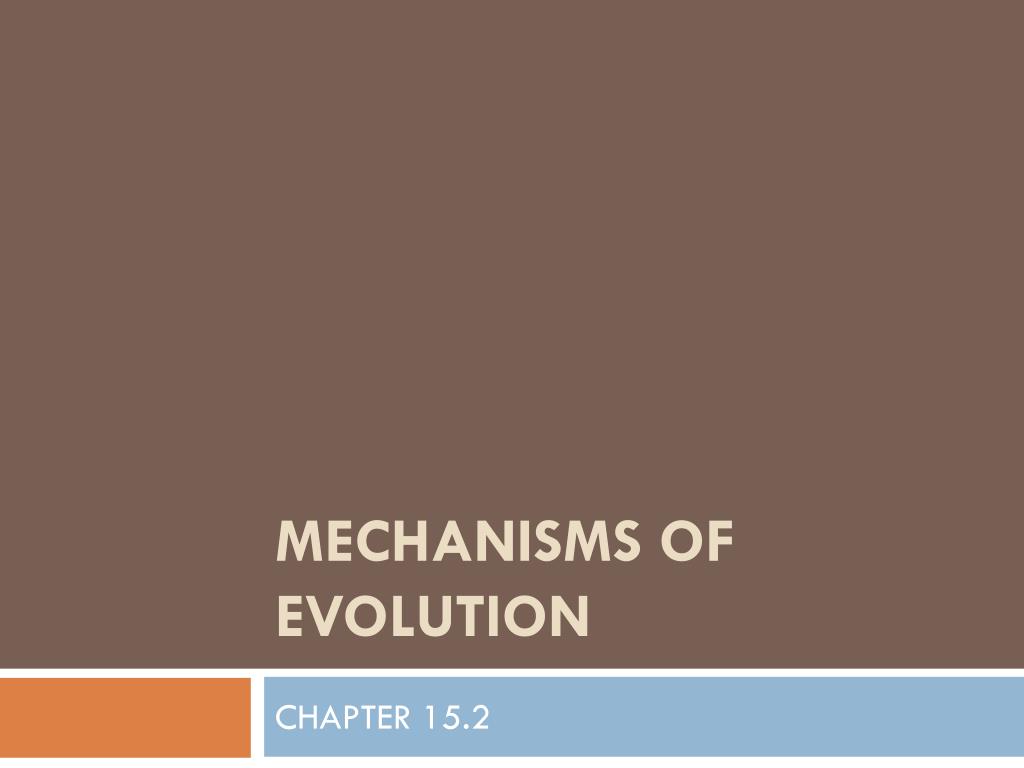 PPT - MECHANISMS OF EVOLUTION PowerPoint Presentation, free download ...