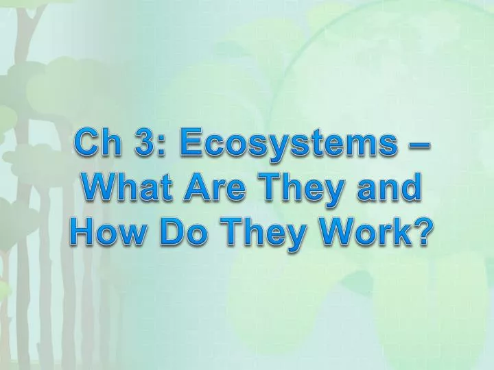 ch 3 ecosystems what are they and how do they work