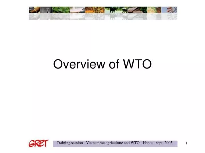 overview of wto