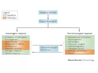 Negative regulation of immune responses by various mechanisms