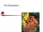 The Biosphere - slide 1