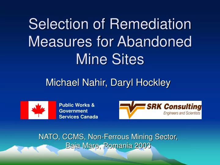 selection of remediation measures for abandoned mine sites