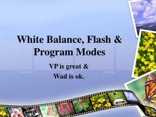 White Balance, Flash &amp; Program Modes