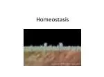 Homeostasis - slide 1