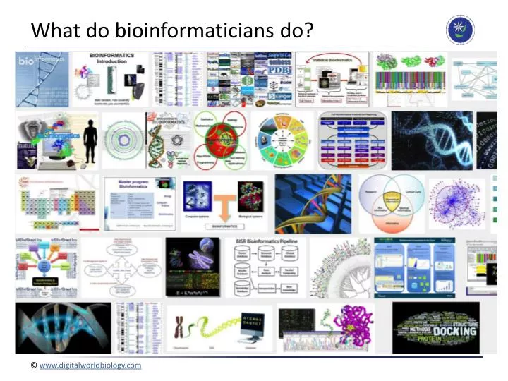 what do bioinformaticians do