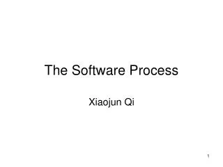 The Software Process