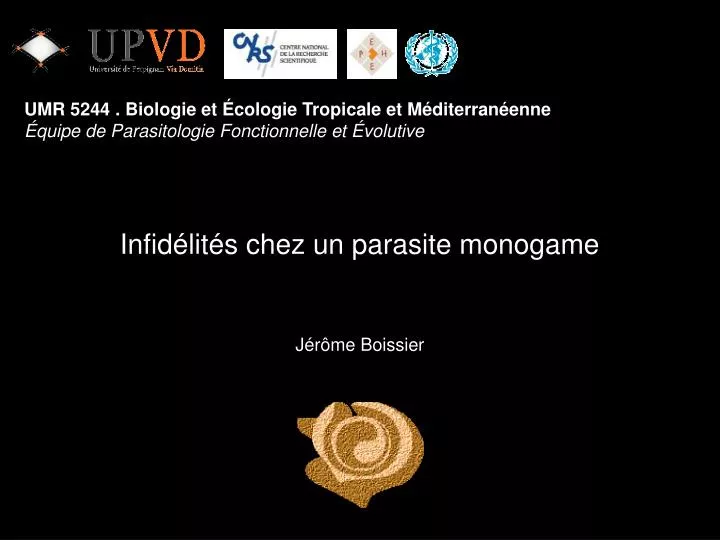 infid lit s chez un parasite monogame