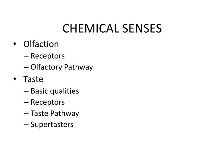 chemical senses