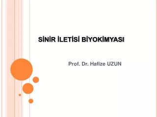 s n r let s b yok myasi