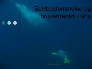 selvbestemmelse og brukermedvirkning