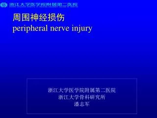peripheral nerve injury