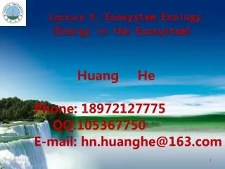 Lecture 9: Ecosystem Ecology (Energy in the Ecosystem)