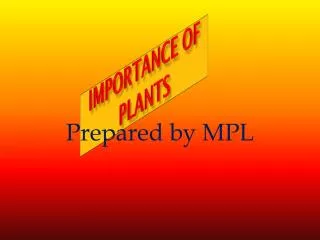 IMPORTANCE OF PLANTS