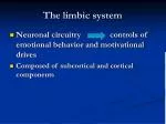 The limbic system - slide 1