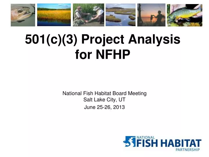 501 c 3 project analysis for nfhp