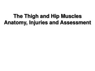 The Thigh and Hip Muscles Anatomy, Injuries and Assessment