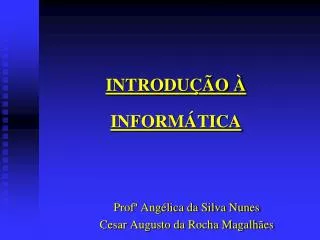 introdu o inform tica