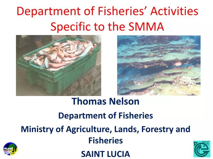 department of fisheries activities specific to the smma