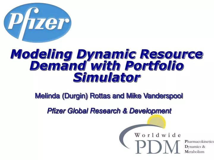 modeling dynamic resource demand with portfolio simulator