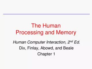 The Human Processing and Memory
