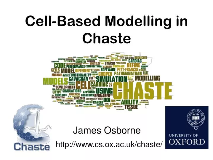 cell based modelling in chaste