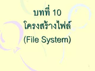 10 file system