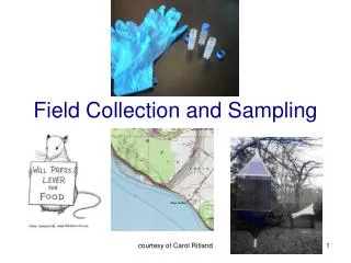 Field Collection and Sampling