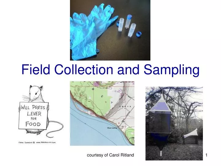 field collection and sampling