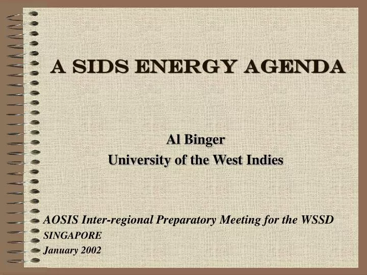 a sids energy agenda