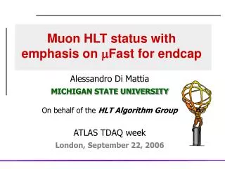 Muon HLT status with emphasis on m Fast for endcap