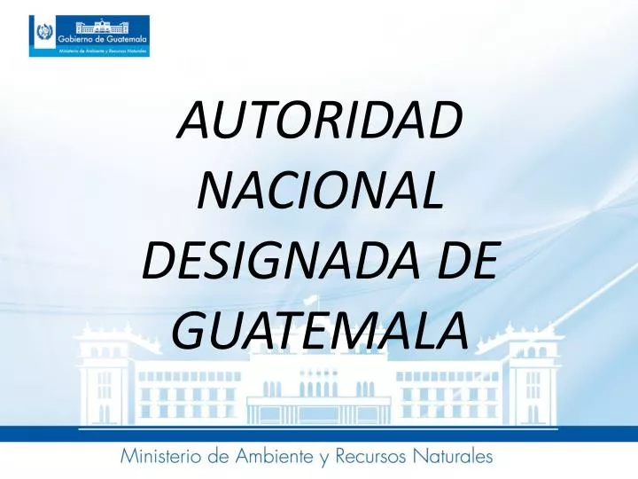 autoridad nacional designada de guatemala
