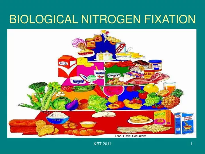 biological nitrogen fixation