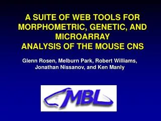 A SUITE OF WEB TOOLS FOR MORPHOMETRIC, GENETIC, AND MICROARRAY ANALYSIS OF THE MOUSE CNS