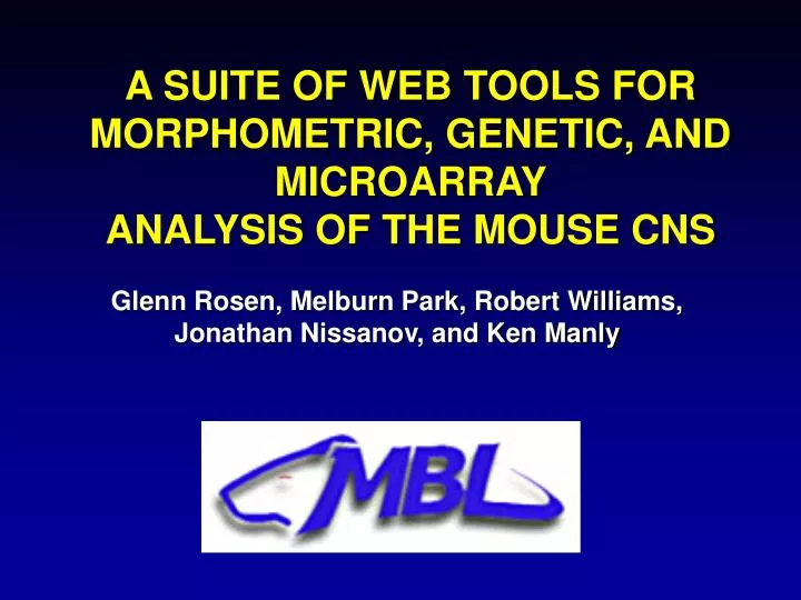 a suite of web tools for morphometric genetic and microarray analysis of the mouse cns