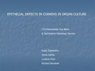 EPITHELIAL DEFECTS IN CORNEAS IN ORGAN CULTURE
